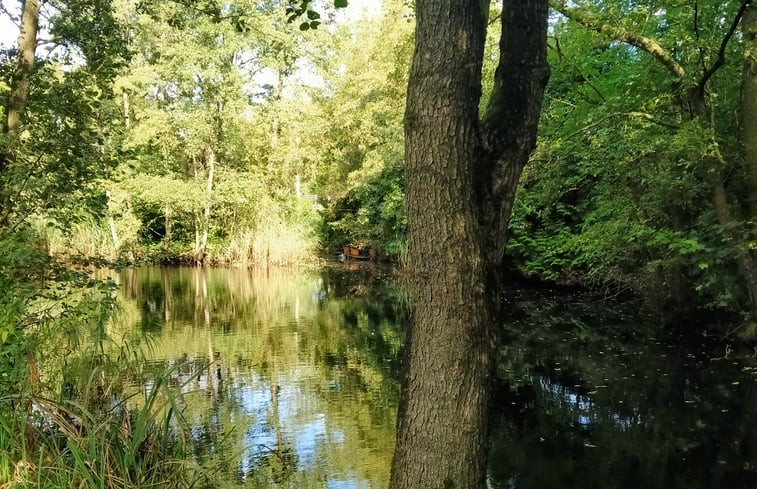 Natuurhuisje in Kollumerzwaag