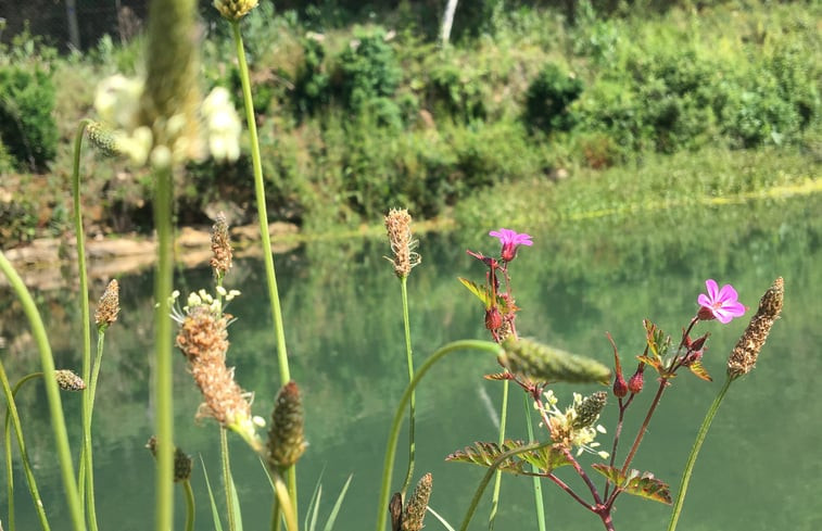 Natuurhuisje in Sainte Nathalene