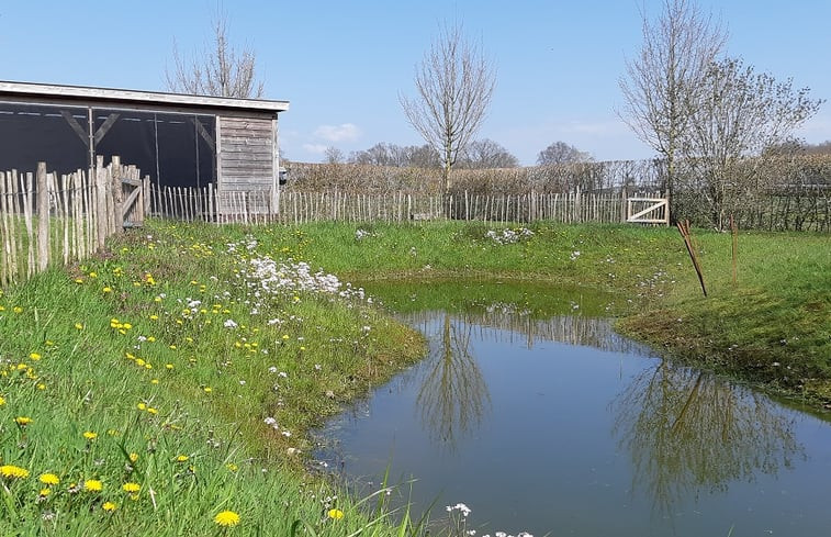 Natuurhuisje in Wijhe