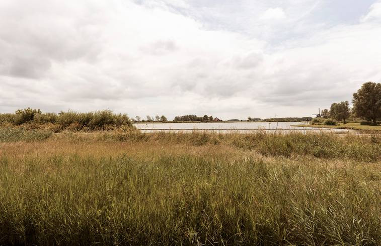 Natuurhuisje in Uitgeest