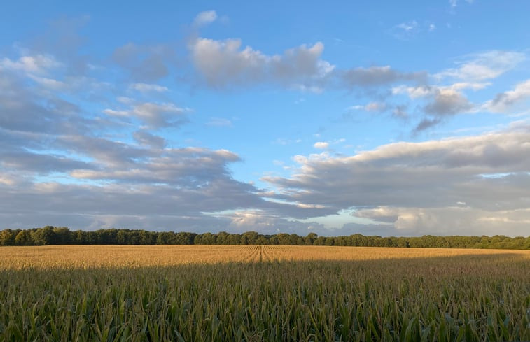 Natuurhuisje in Diever