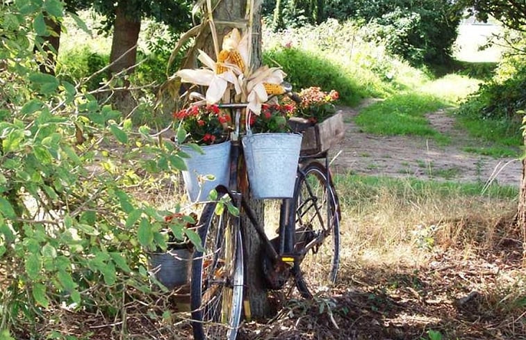 Natuurhuisje in Aalten