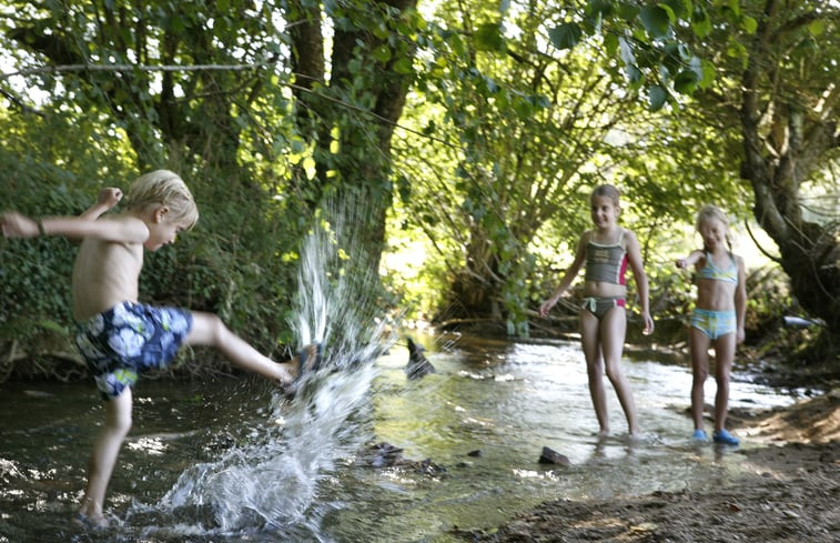 Natuurhuisje in Varaignes