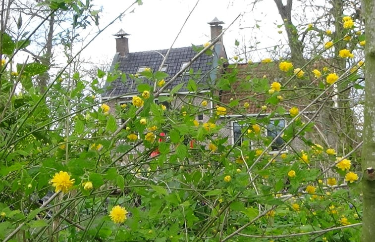 Natuurhuisje in Grou