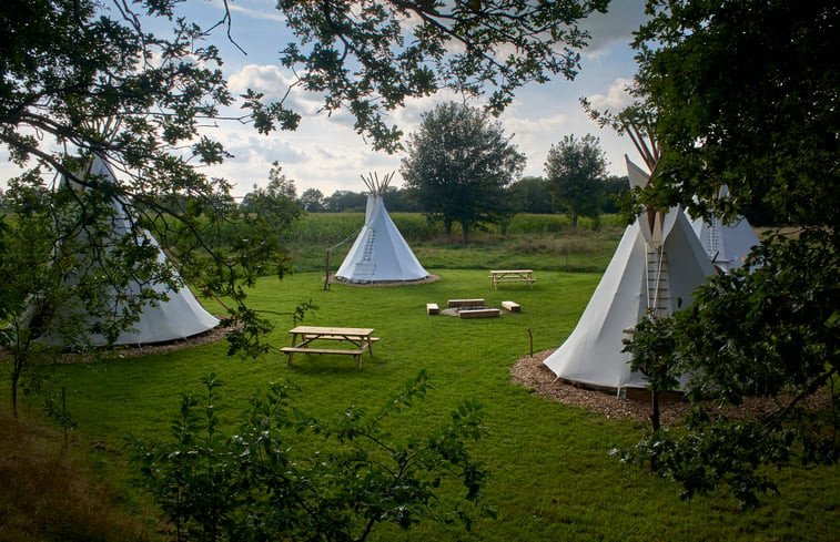 Natuurhuisje in Siegerswoude