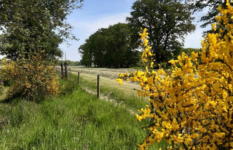 Natuurhuisje in Hijken