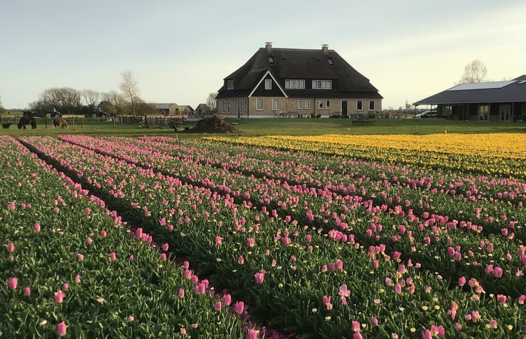 Natuurhuisje in Oosterend Texel