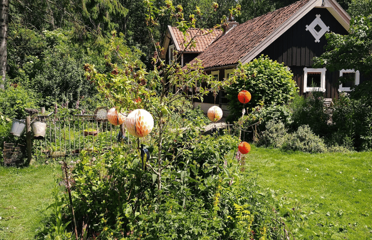 Natuurhuisje in Drouwenerveen