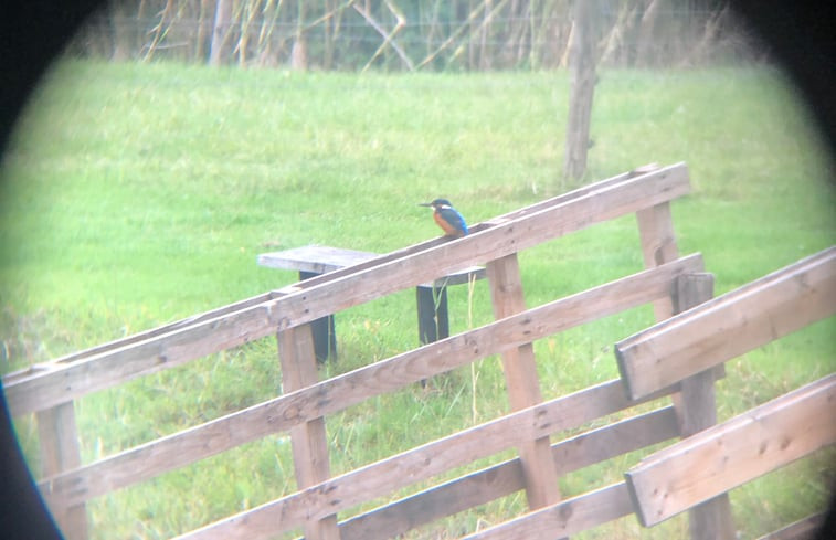 Natuurhuisje in Nijbroek