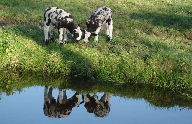 Natuurhuisje in Alphen aan den Rijn