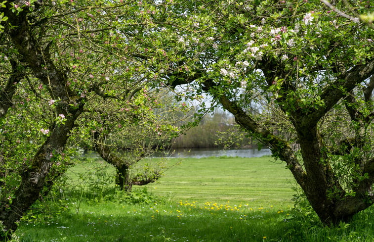 Natuurhuisje in Heesselt