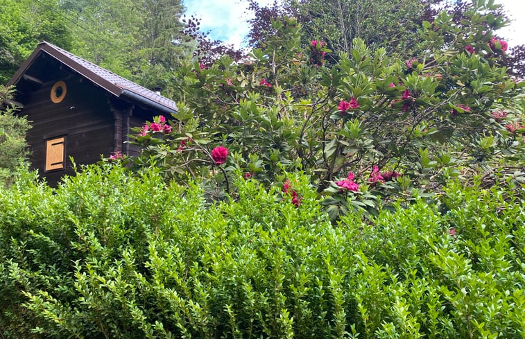 Natuurhuisje in Natzwiller