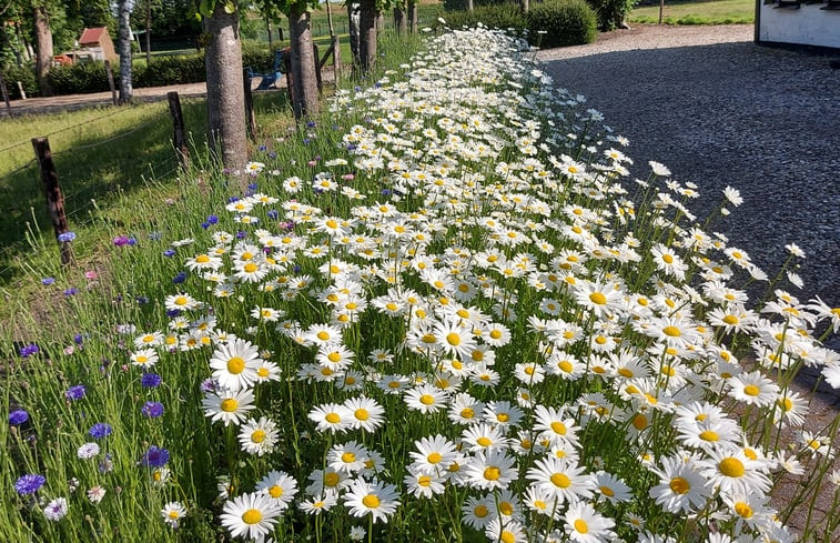 Natuurhuisje in Scherpenisse