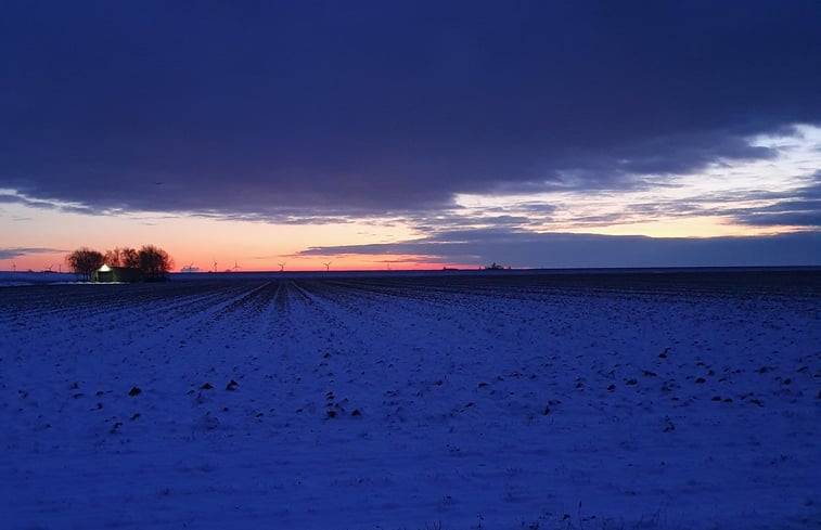 Natuurhuisje in Zuidland