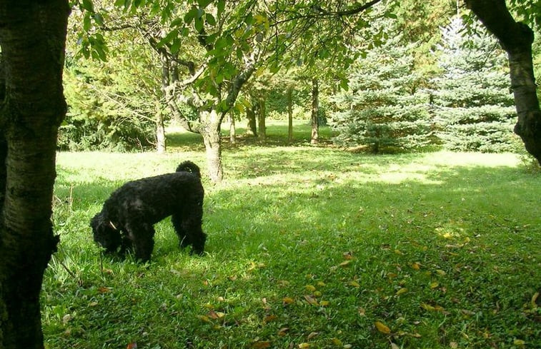 Natuurhuisje in Sangerhausen