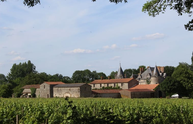 Natuurhuisje in Saint-Hilaire-de-Loulay