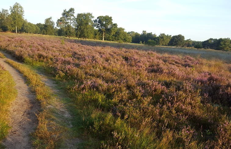 Natuurhuisje in Holten