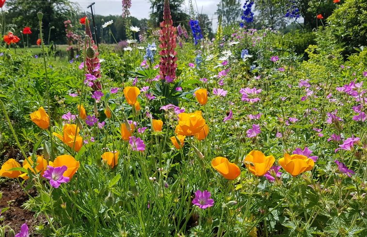 Natuurhuisje in Doetinchem