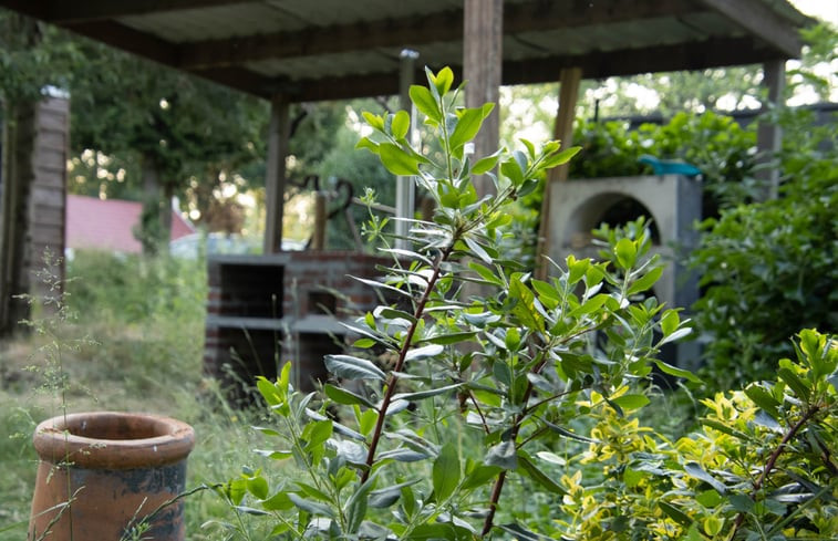 Natuurhuisje in Lunteren