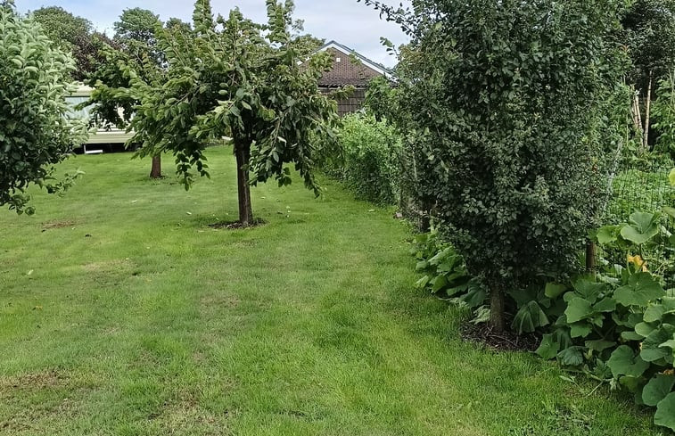 Natuurhuisje in Emmer-Compascuum