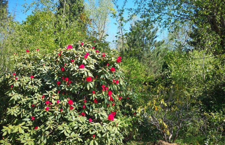 Natuurhuisje in Holsbeek