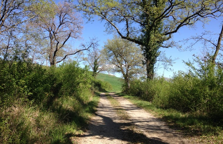 Natuurhuisje in Chiusi (Siena)