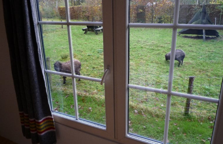 Natuurhuisje in Tweede Exloërmond