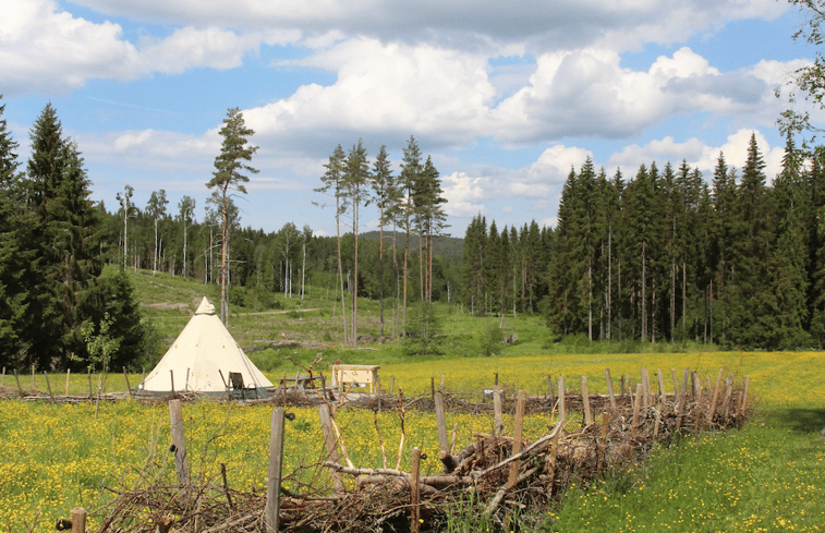 Natuurhuisje in Östra Ämtervik