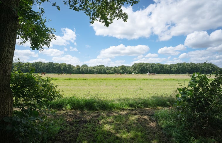 Natuurhuisje in Soest