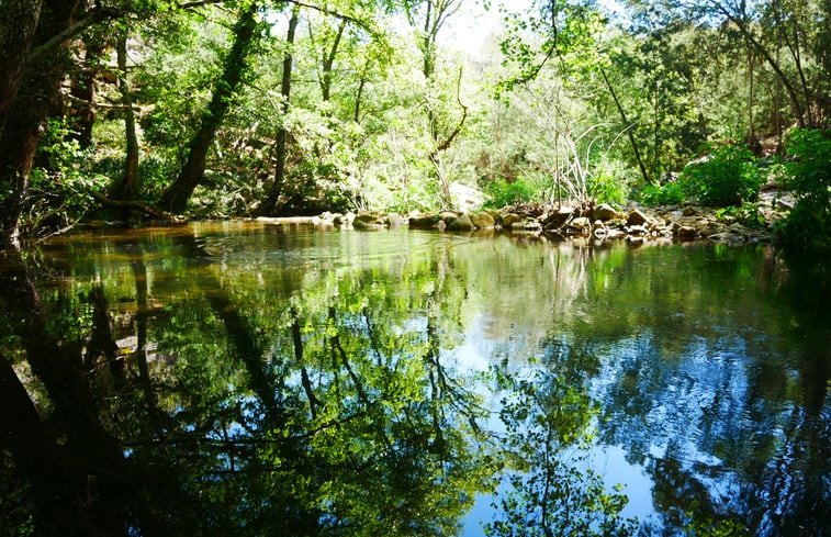 Natuurhuisje in Santo Antonio Das Areias