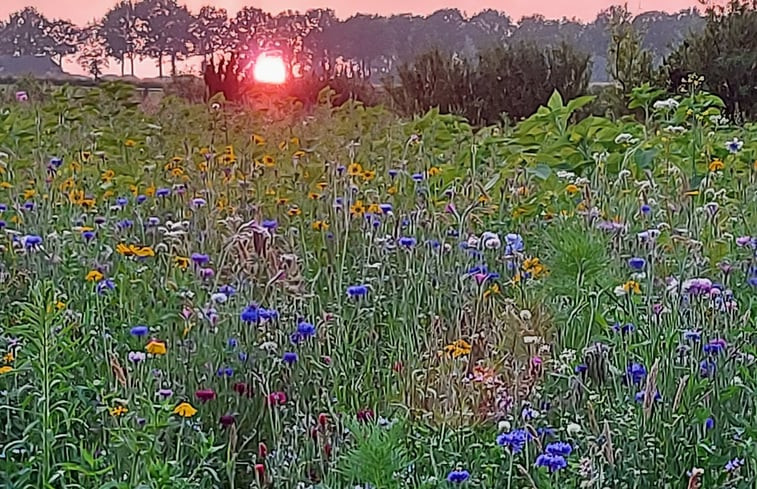 Natuurhuisje in Bronneger