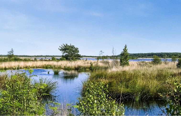 Natuurhuisje in Oosterwolde