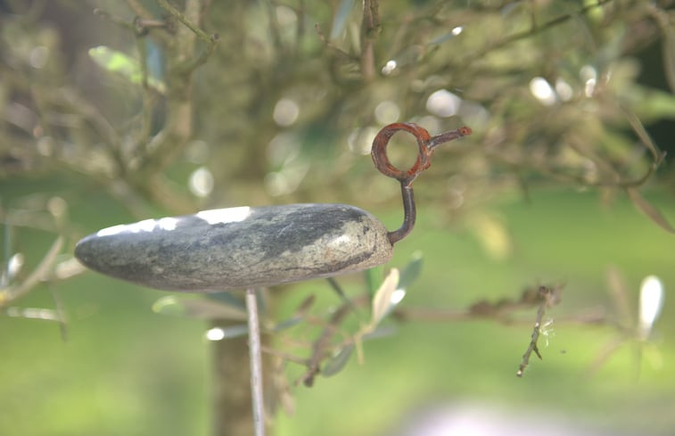 Natuurhuisje in Overasselt