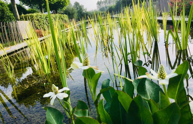 Natuurhuisje in Doetinchem