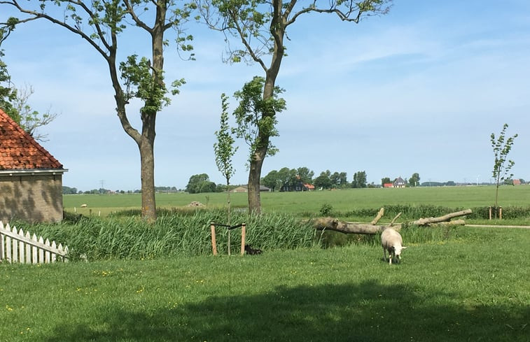 Natuurhuisje in Lollum