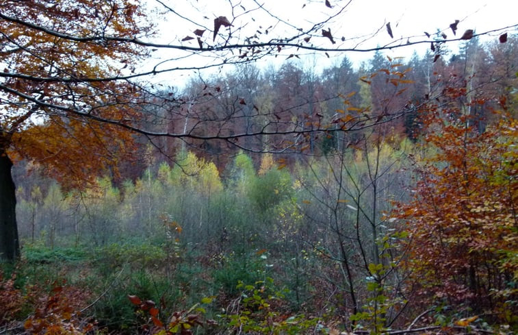 Natuurhuisje in Jalhay