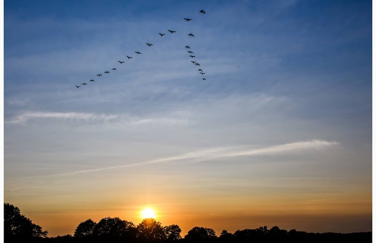 Natuurhuisje in Ruinen