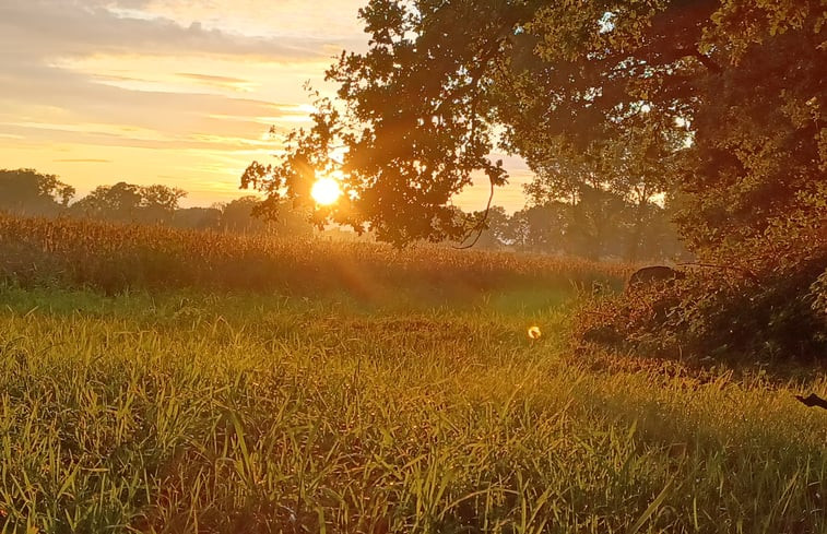 Natuurhuisje in Warmsen