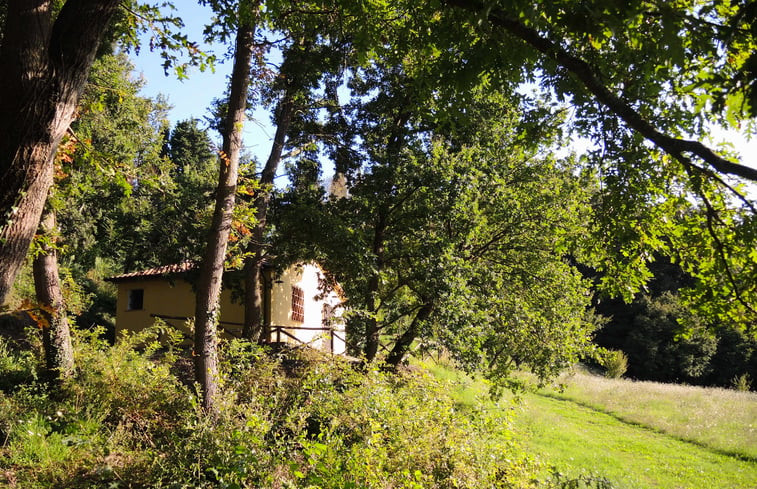 Natuurhuisje in Montescudaio