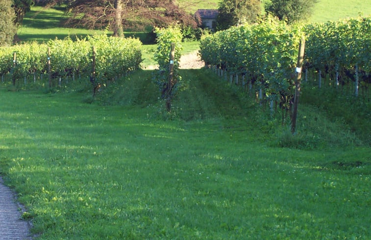 Natuurhuisje in Berg en Dal