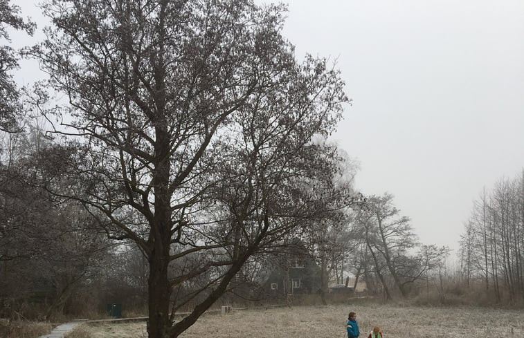 Natuurhuisje in Giethoorn