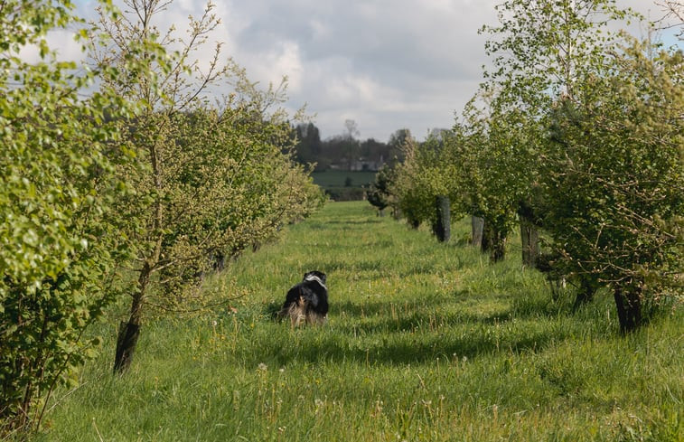 Natuurhuisje in Gressey