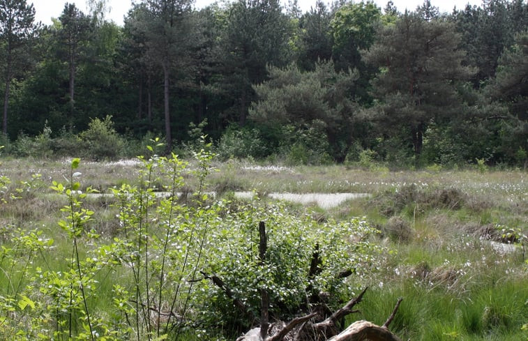 Natuurhuisje in Wittelte