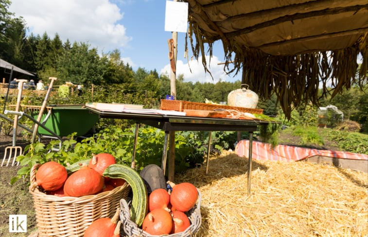 Natuurhuisje in Hengevelde