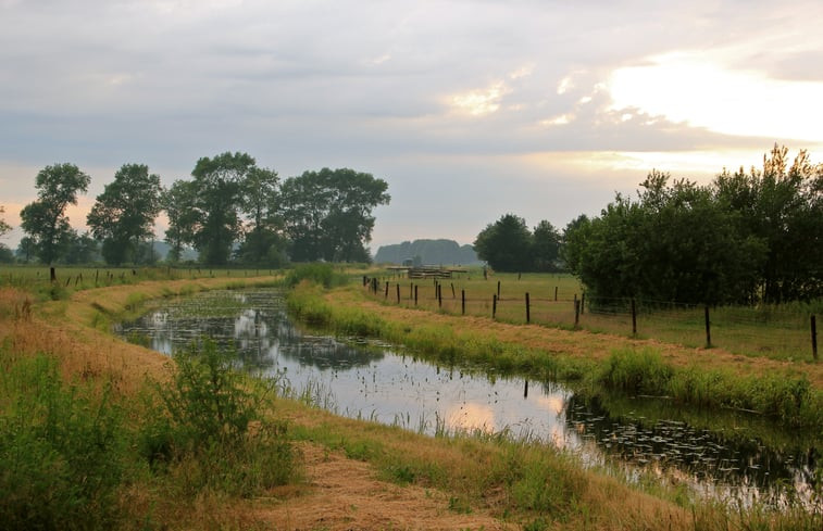 Natuurhuisje in Ruinen