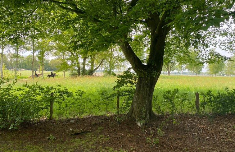 Natuurhuisje in Dwingeloo