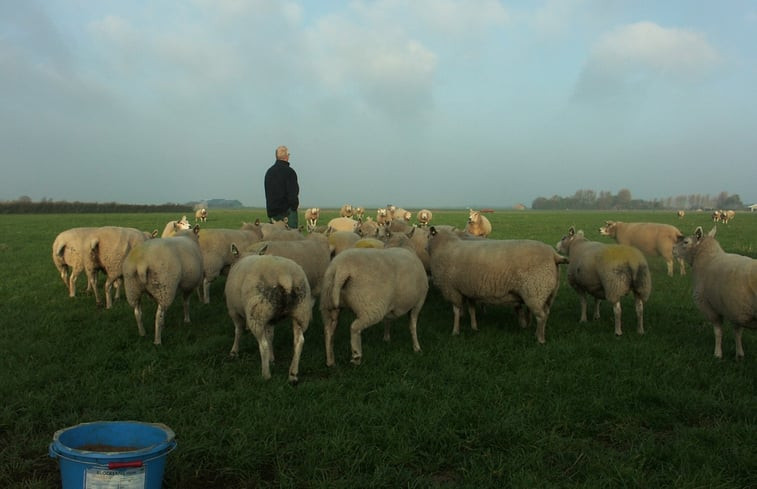 Natuurhuisje in De Cocksdorp