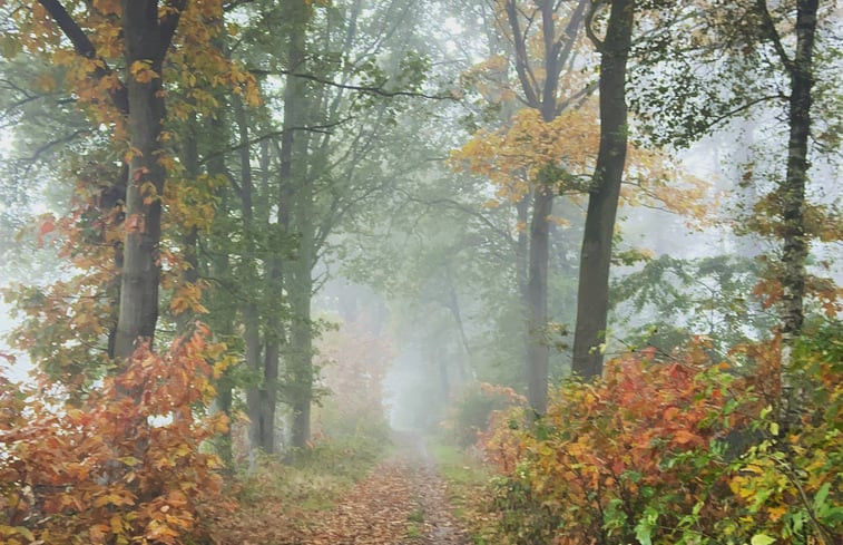 Natuurhuisje in Handel