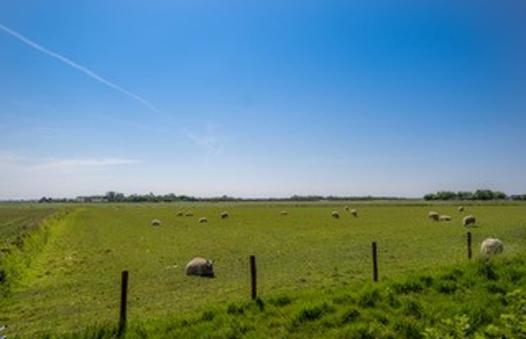 Natuurhuisje in De Waal