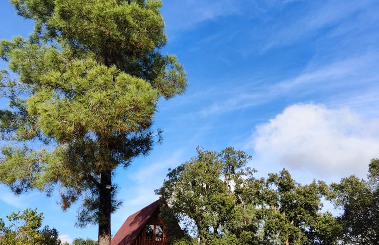 Natuurhuisje in Serra